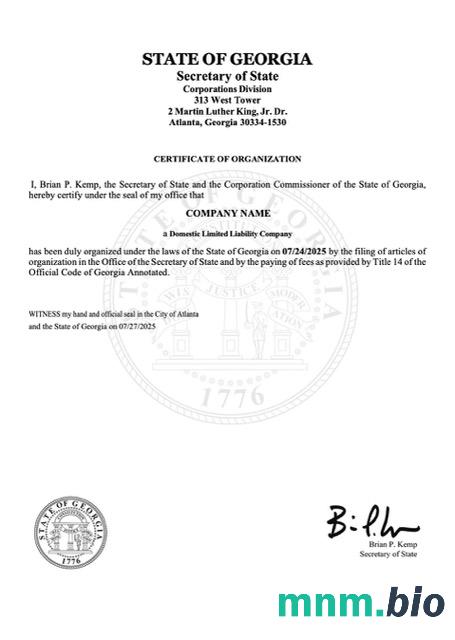 USA Georgia vcertyfikat of organization Word i szablon PDF